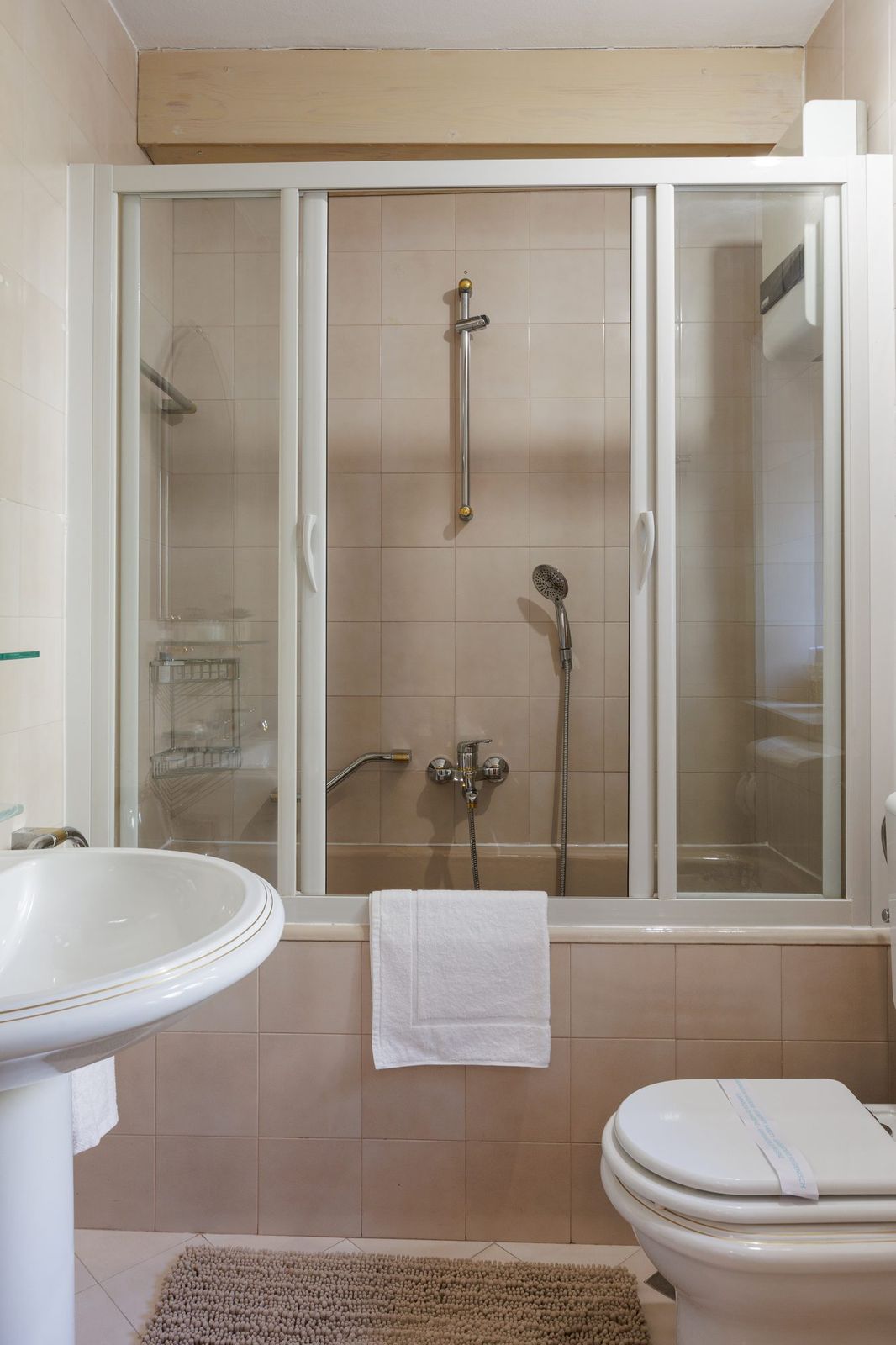 Bathroom, detail of the hand shower and gold taps above the bathtub