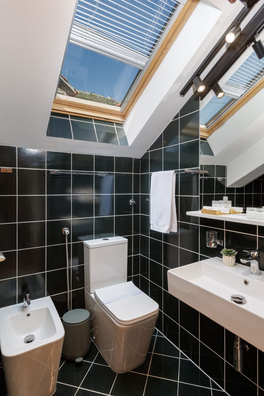 Attic bathroom with glossy black tiles, bathtub and bidet under the skylight