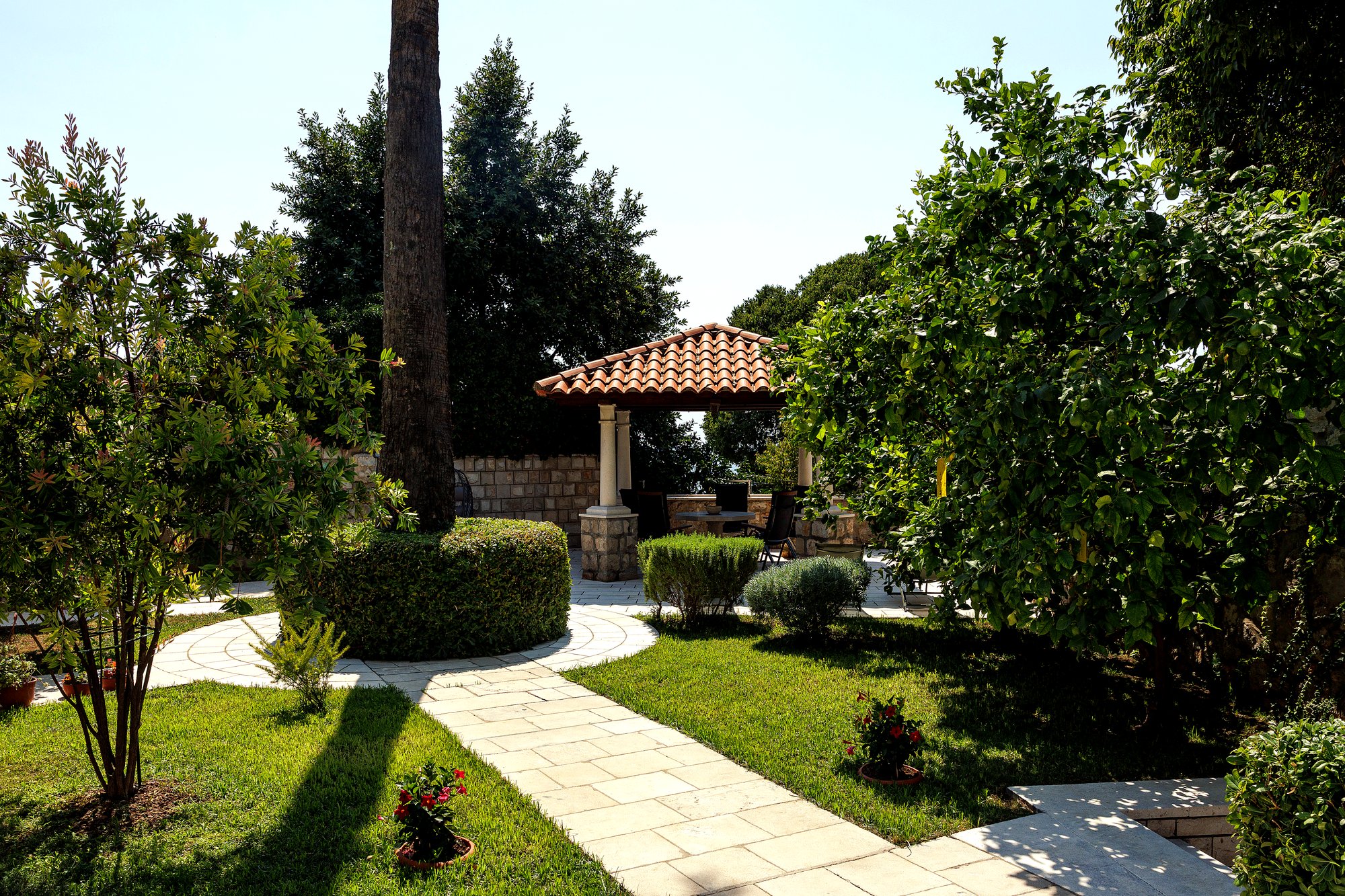 Il vialetto del giardino verso il gazebo, tra palme e agrumi