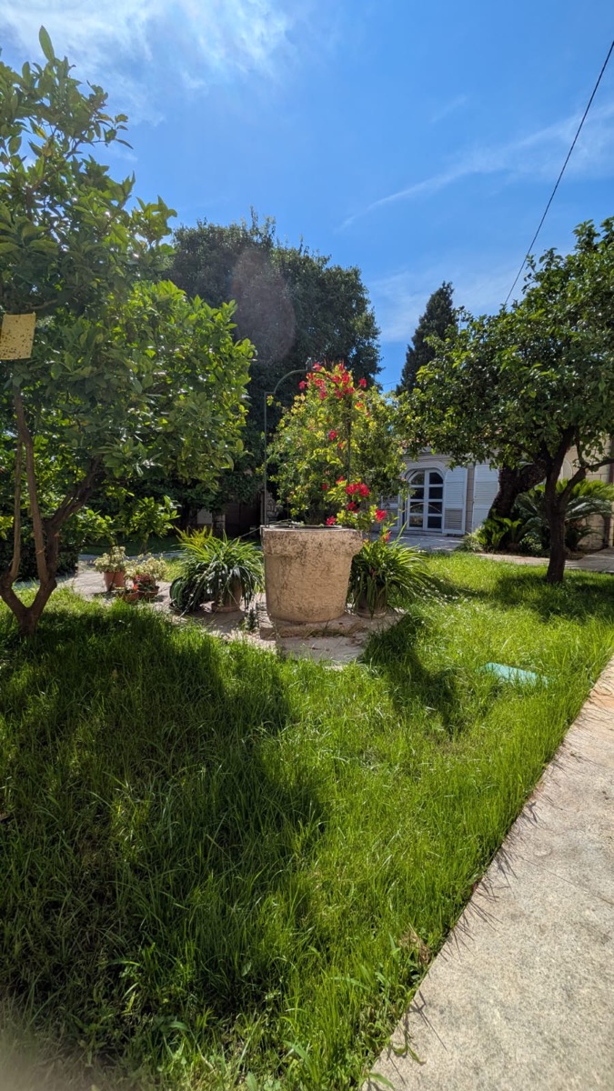 Il giardino mediterraneo della villa